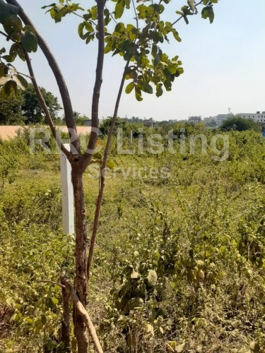OPEN PLOT FOR SALE IN MAL