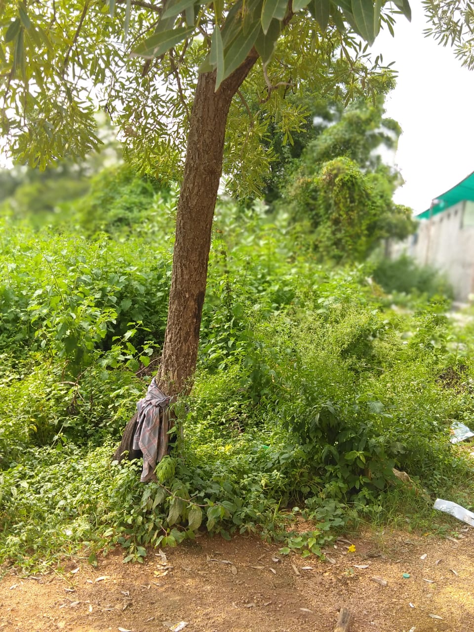 OPEN PLOT FOR SALE AT DIL