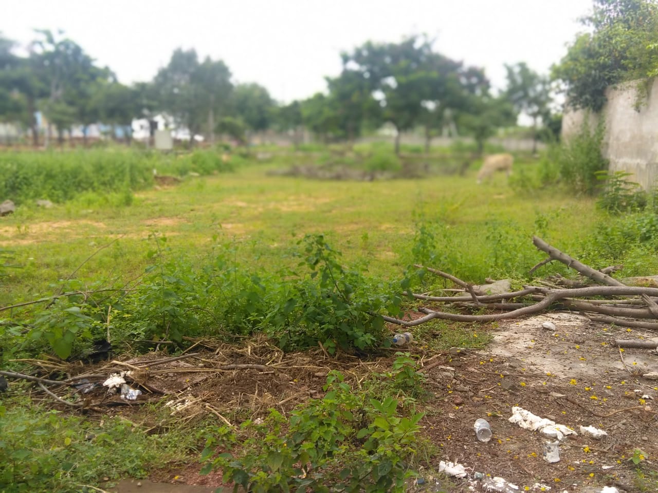 Open Plot for sale in Isn