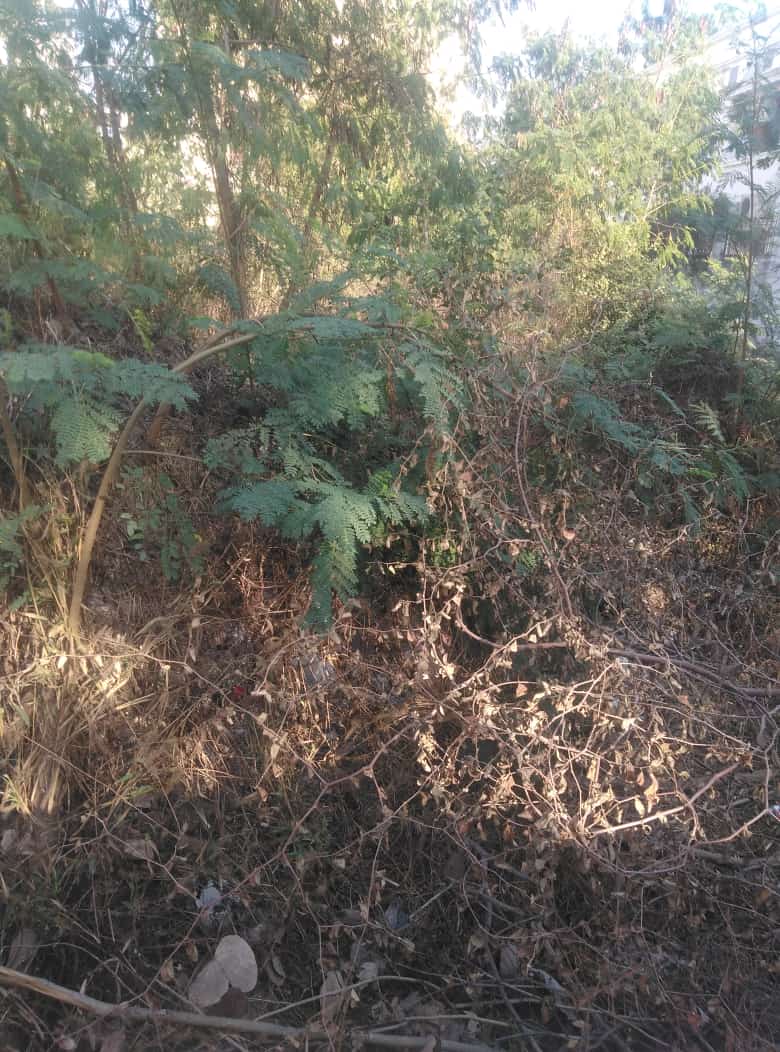 OPEN PLOT FOR SALE AT KOM