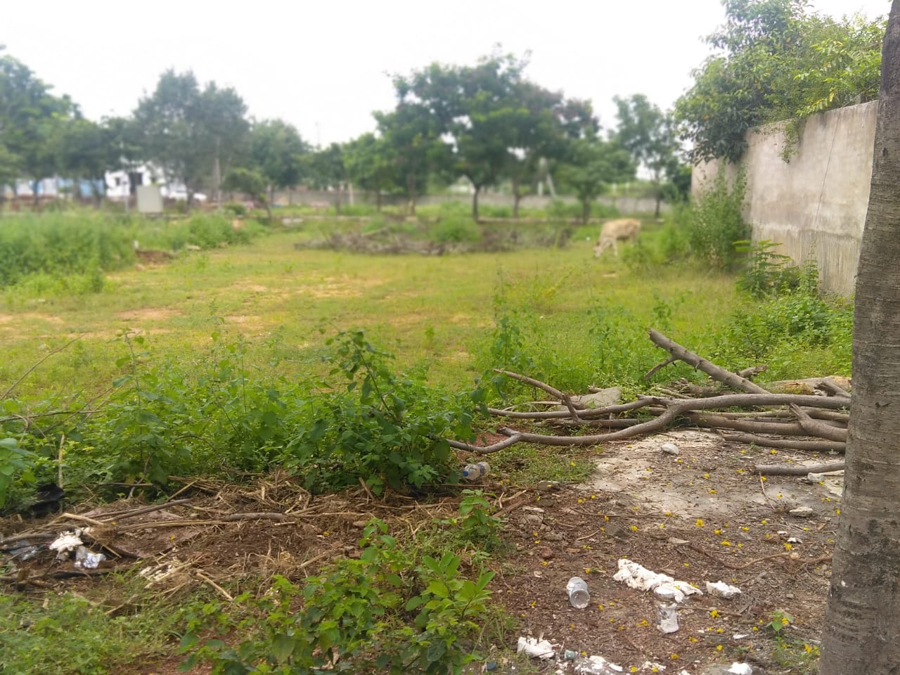 OPEN PLOT FOR SALE AT KON