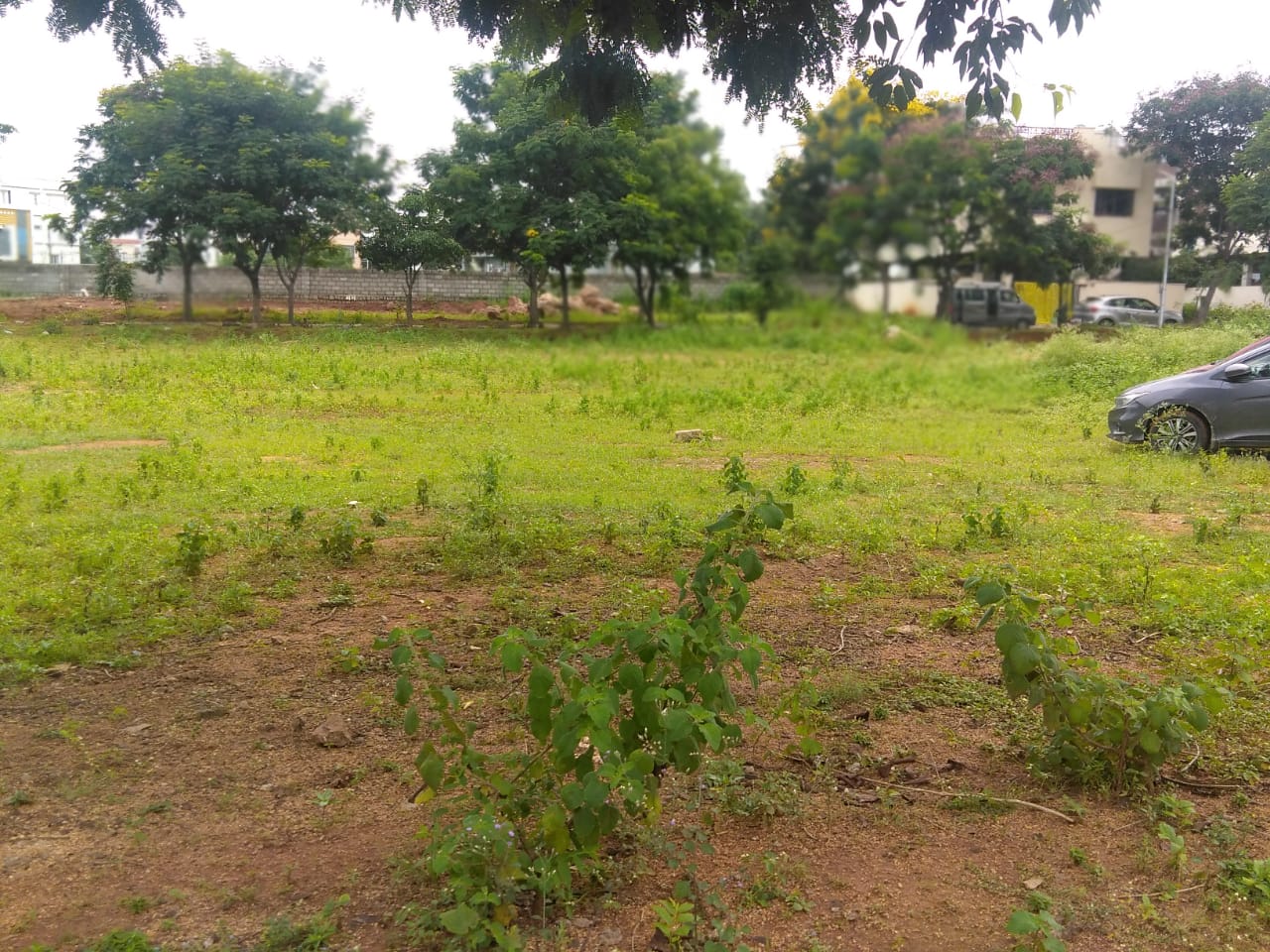 OPEN PLOT FOR SALE AT BN 