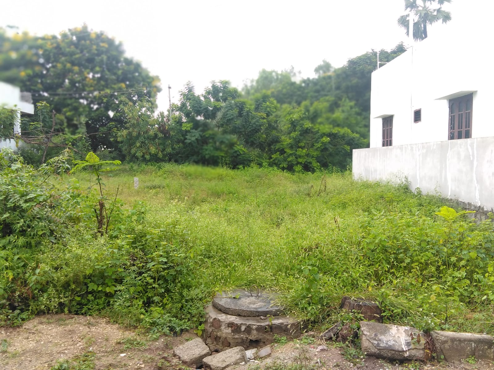 OPEN PLOT FOR SALE AT JAD