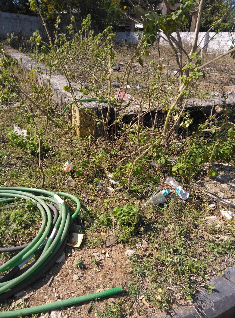 OPEN PLOT FOR SALE AT BHO
