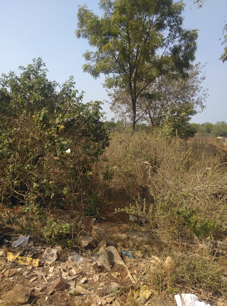 OPEN PLOT FOR SALE AT NAG