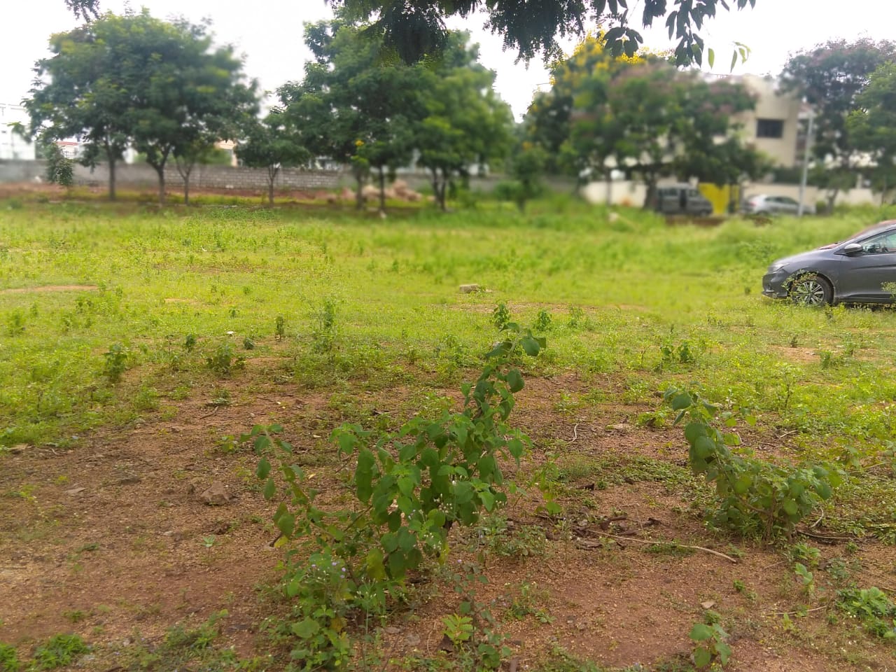 OPEN PLOT FOR SALE AT GAN