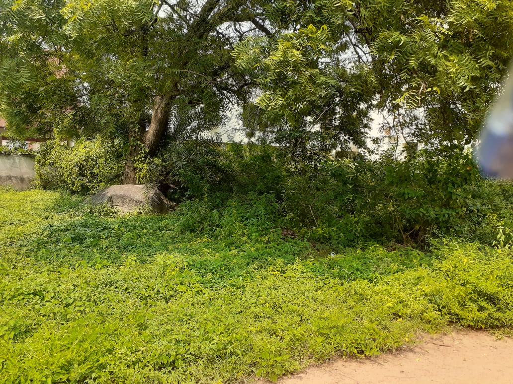 OPEN PLOT FOR SALE AT SAF