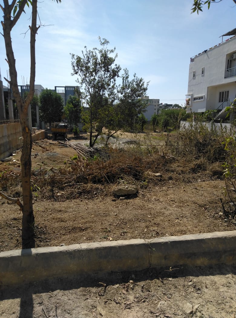 OPEN PLOT FOR SALE AT BAN