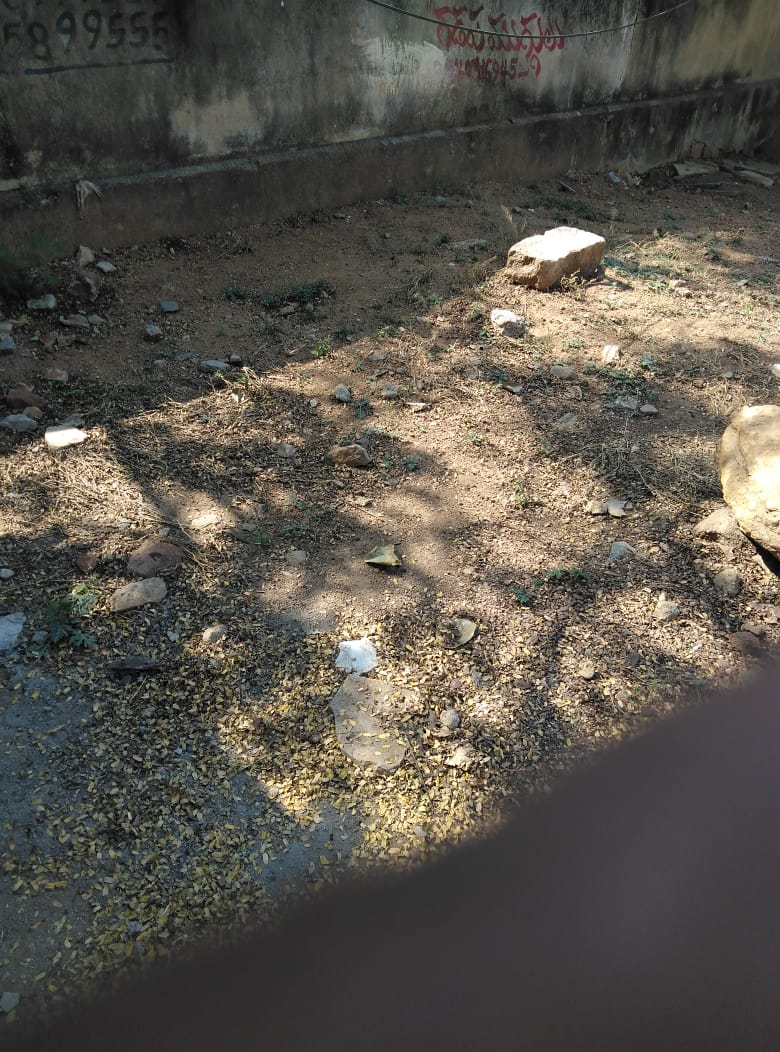 Open Plot for sale in Cha