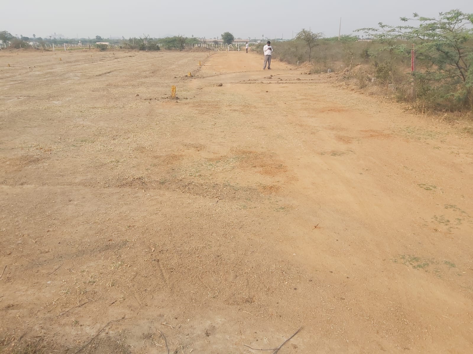 Open Plot for sale in Dam