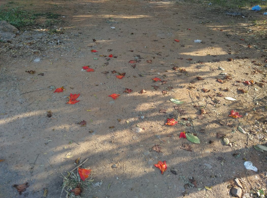 Open Plot for sale in Kan