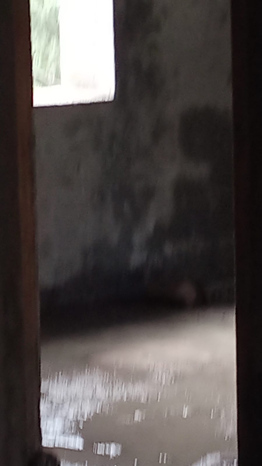 3 BHK  Flat For sale in K