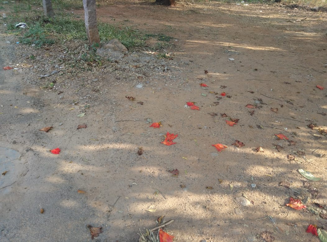 Open Plot for sale in Mah