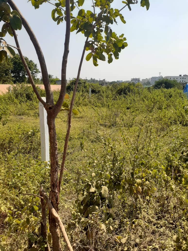 Open Plot for sale in Kee