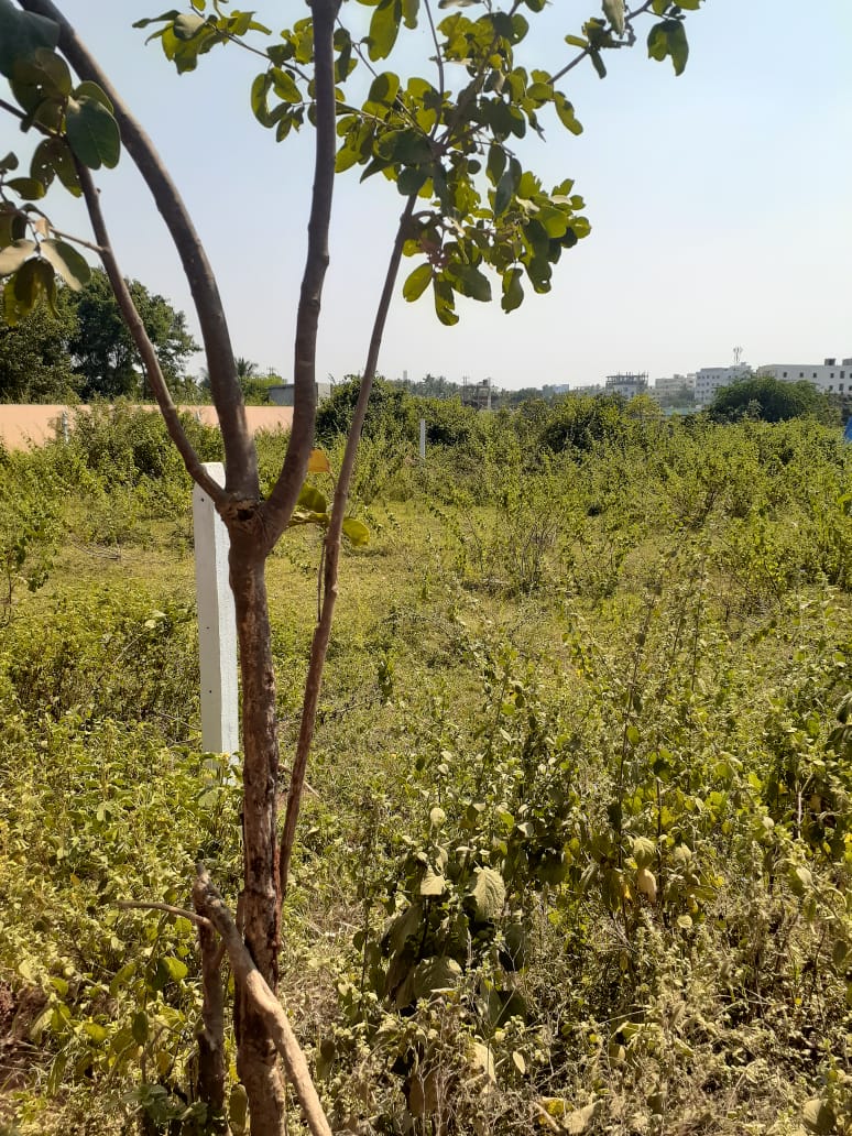 Open Plot for sale in Kee