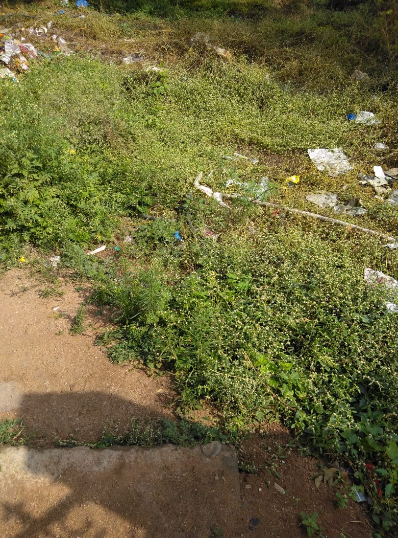 Open Plot for sale in Bow